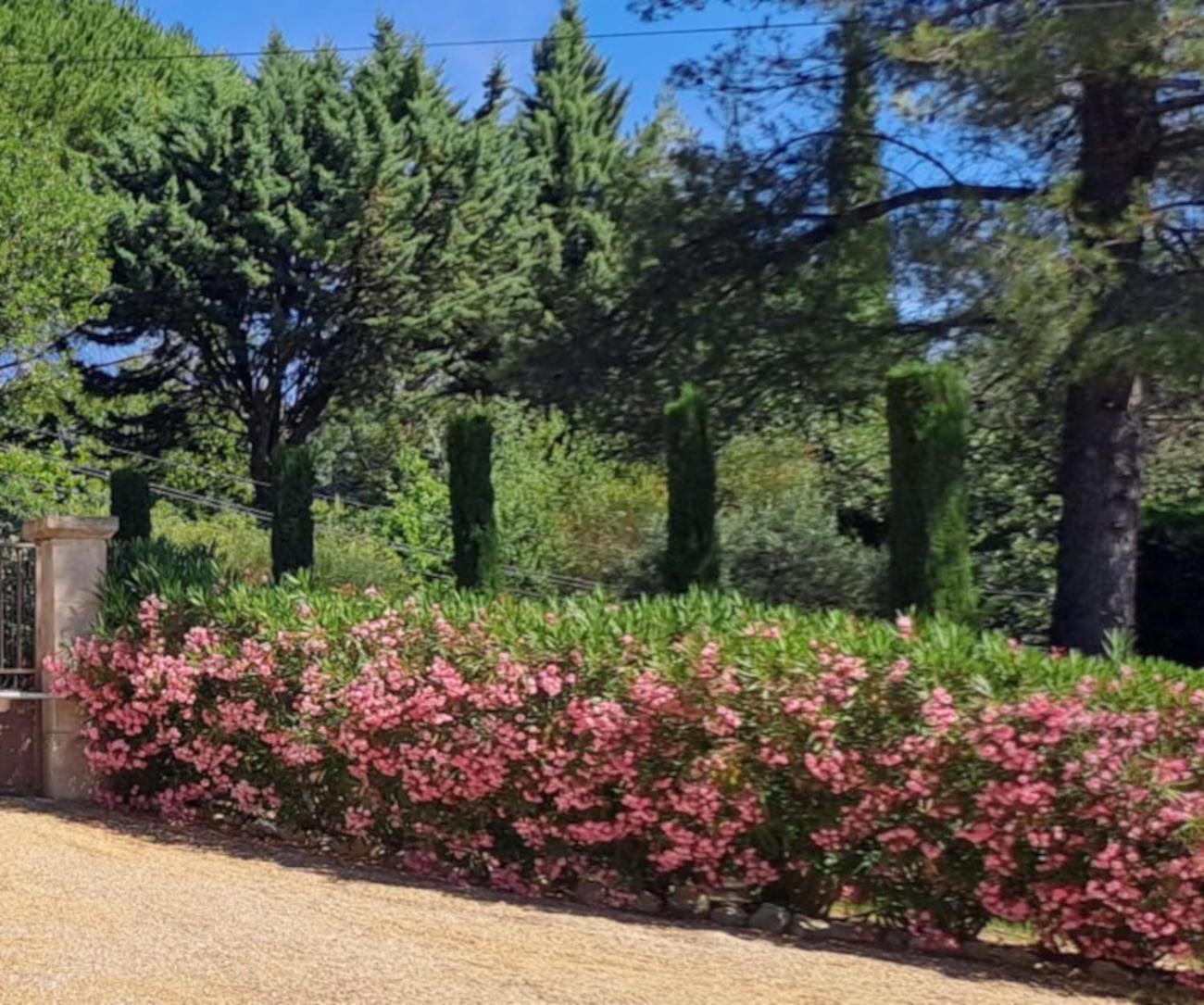 Bed and Breakfast Les Cerises Saint-Saturnin-lès-Apt Esterno foto